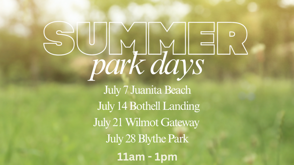 Summer Park Days